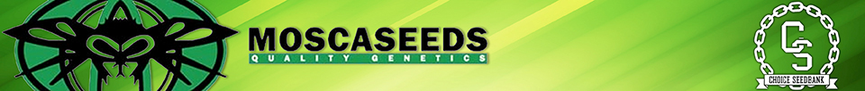 Mosca Seeds