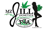 Mz Jill Genetics
