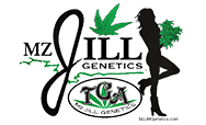 TGA Mz Jill Genetics