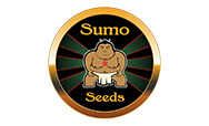 Sumo Seeds