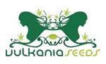 Vulkania Seeds