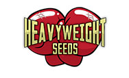 Heavyweight Seeds