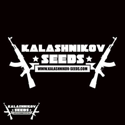 Kalashnikov Lucky Dip