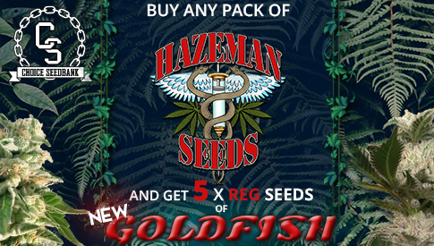The Choice Seedbank - Buy Cannabis Seeds Online | Best Marijuana ...