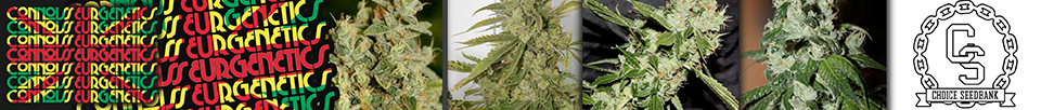 Connoisseur Genetics Seeds