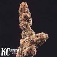 KC Brains Afghani Special