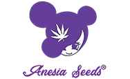 Anesia Seeds