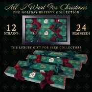 Attitude Seedbank - All I Want for Christmas - The Holiday Reserve Collection