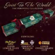 Attitude Seedbank Christmas Cracker - Joint to the World