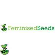 Feminised Seeds Company Blue Treacle Automatic