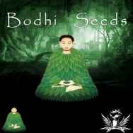 Bodhi Seeds 89 sensi nl5 noof x bcsc nl5