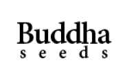 Buddha Seeds