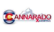 Cannarado Genetics Seeds