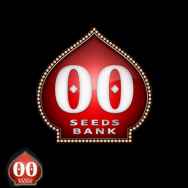 00 Seeds Chocolate Kush FAST