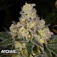 Archive Seeds Dosi-Cake