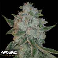 Archive Seeds Heavenly OG