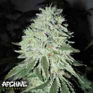 Archive Seeds Oregon Lemons