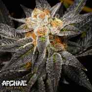 Archive Seeds Straight Sauce