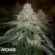 Archive Seeds Hazmat