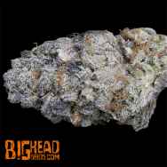 Big Head Seeds Purple Punch