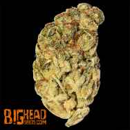 Big Head Seeds Wedding Cake