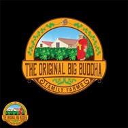 Big Buddha Seeds Cheese Puffs