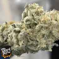 Black Farm Genetix Banana Punch Collection L.A Banana Cake