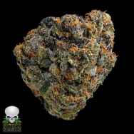 Black Skull Seeds Girls Scout Cookies