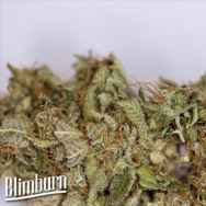 BlimBurn Seeds Blue Dream