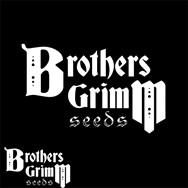 Brothers Grimm Seeds Space Queen XX