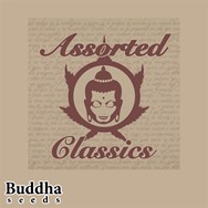 Buddha Seeds Assorted Classics