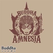 Buddha Seeds Buddha Amnesia Autoflowering