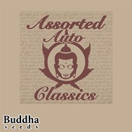 Buddha Seeds Assorted Classics Autoflowering