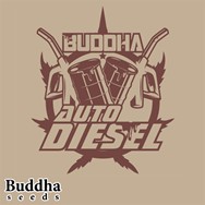 Buddha Seeds Buddha Diesel Autoflowering