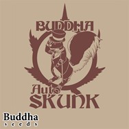 Buddha Seeds Buddha Skunk Autoflowering
