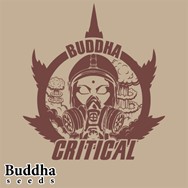 Buddha Seeds Buddha Critical