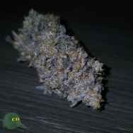 Capulator Seeds F3Z
