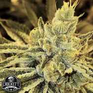 Crockett Family Farms Seeds Strawnana Juice