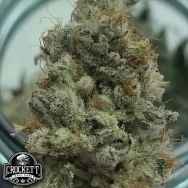 Crockett Family Farms Seeds Golden Lemon Juice