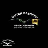 Dutch Passion Seeds Sour Fruit Tartare F1