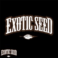 Exotic Seed Lucky Dip