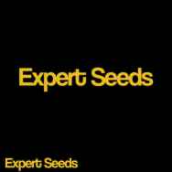 Expert Seeds Mimosa Lemon AUTO
