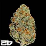 FastBuds Seeds Lemon Mandarin