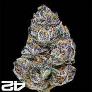 FastBuds Seeds Rainbow Melon