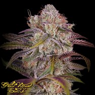 Green House Seeds Gran Jefa