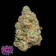 GrowersChoice Apple Fritter Auto