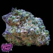 GrowersChoice Frozen Cherry Runtz