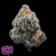 GrowersChoice Platinum Mimosa Cookies Fast Version