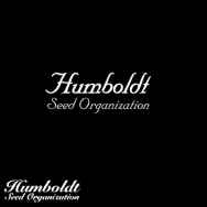 Humboldt Seed Organization Cinnamon Buddha