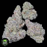 In House Genetics Gasberry